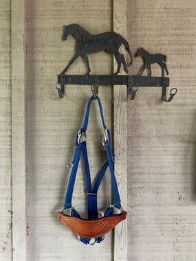 Blue Nylon Horse Halter with Brown Leather Noseband